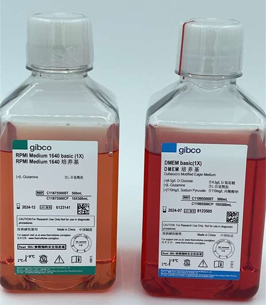 胎牛血清在細胞培養(yǎng)中的重要作用