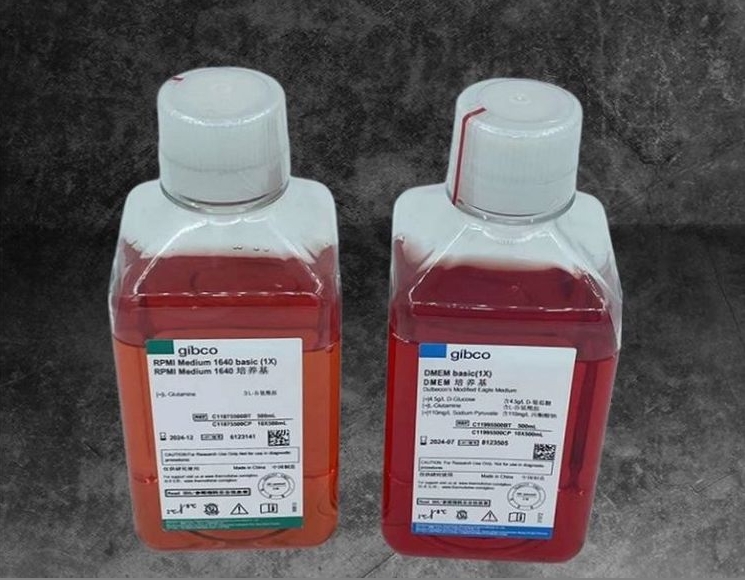 1732504800615765.jpg 培養(yǎng)基.jpg
